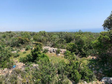 Narlıkuyuda Satılık Arazi