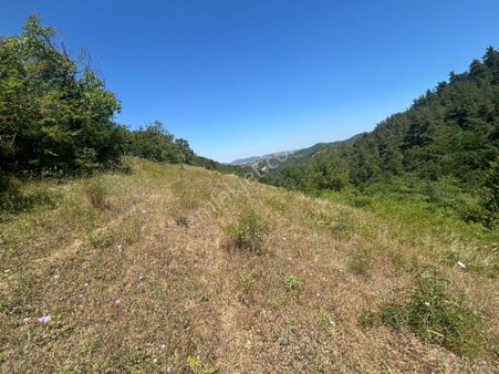 Kocaeli Karamürsel Çamdibi 4142 M² Çift Yola Cephe Satılık Tarla