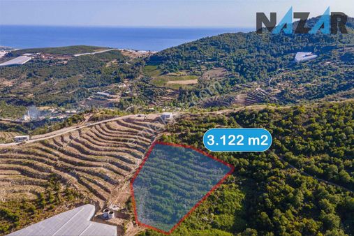 Alanya İsbatlı'da Satılık Tarla