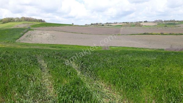Silivri Bekirli Mah Satılık 5758 M2 Tarla