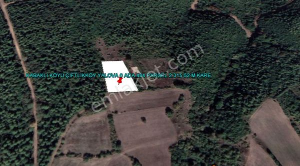 Yalova Kabaklı Da Full Deniz Ve Köprü Manzaralı 2.315 Mkare Tarla