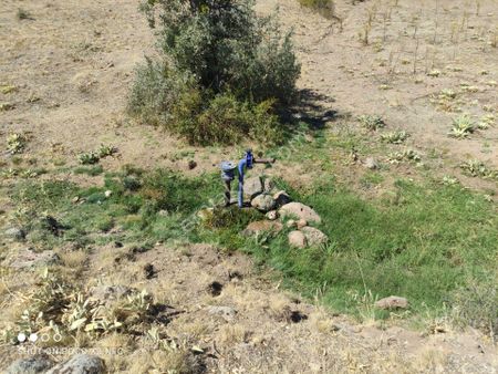 Konya Seydişehir Çavuş Satılık Sulu Tarla 12675 M2