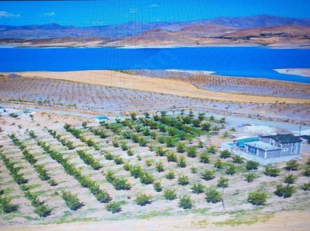 Alihan G.m.den Aydıncık-pertek Baraj Manzaralı Satılık Villalı Bahçe