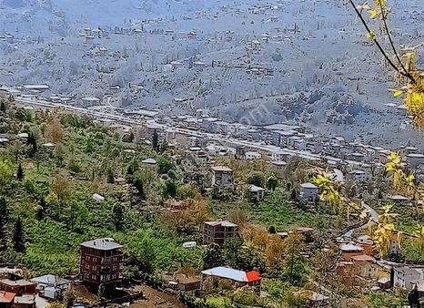Şahinoğlu Emlaktan, Acil!, Trabzon Dolaylı'da, Çok Uygun 4.216 M2 Fındıklık. Araçla Takas Olur.