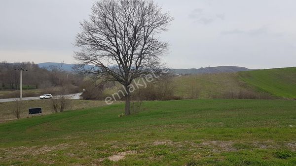 Kocaeli Karamürsel Kızderbent 2.124 M² Yatırımlık Tarla