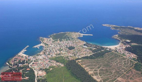 Kandıra Asfaltına Cephe Satılık Çiftlik 39124 M2 Yılın Fırsatı