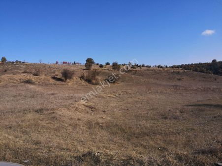 Söğüt Osb Yakınında 12.875m² Yatırımlık Tarla