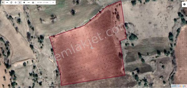 Aytekin Gayrimenkulden Çukuroba`da Satılık Zeytinlik