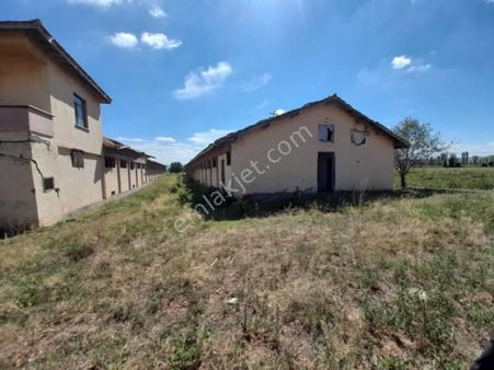 Güvenay-çorumda Büyükbaş - Küçükbaş Satılık Çiftlik