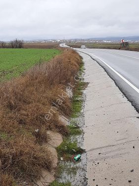  Tekirdağ saray ayaspaşa mahallesinde tek tapu tarla