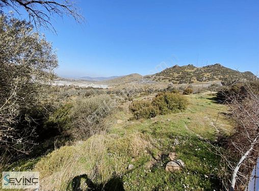 İZMİR MENEMEN KIR MAH. SATILIK BAHÇE, TARLA YOL ÜSTÜ