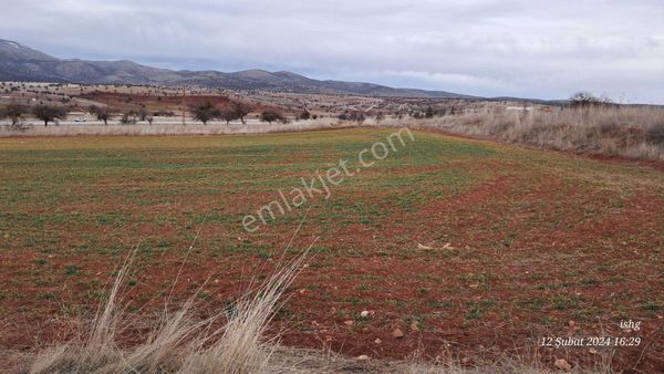  BEYŞEHİR YOLU SOLUNDA MÜSTAKİL TAPULU MAKUL FİYATLI ARSA