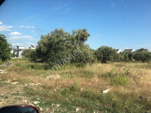 Heramis termal tatil köyü arkasında fener mahallesinde etrafı sitelerle çevrili son arsa