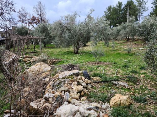  SAHİBİNDEN 1700 m2 Kaş'ta Arsa köy içerisinde huzur arayanlara 