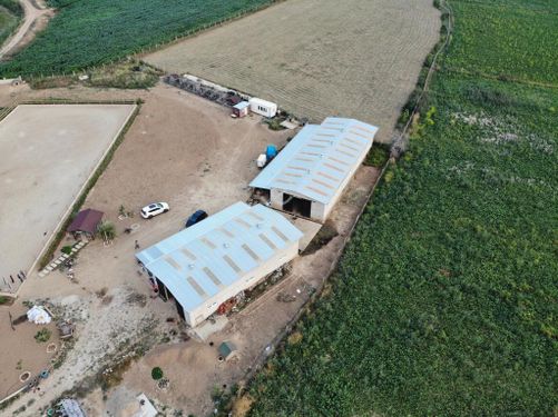  Konya Ilgında Satılık 31.224 m² Çiftlik