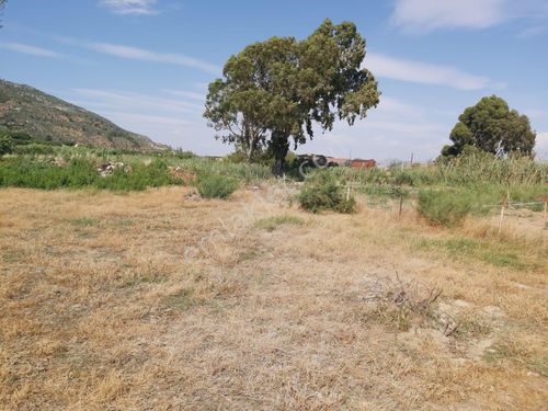 GÜLLÜBAHÇEDE YANYANA 2 ADET 30/60 KONUT İMARLI SATILIK ARSA