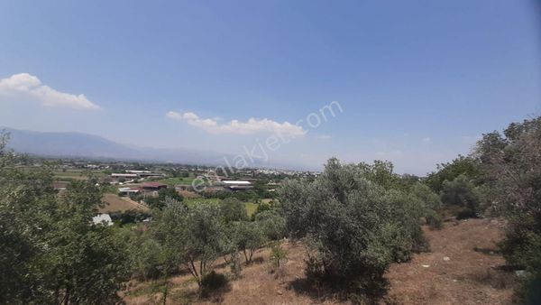 Aydın Yenipazar Satılık Arsa Fiyatları ve İlanları