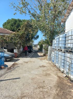 İzmir Kemalpaşa Armutluda Depo İmarı olan Çiftlik