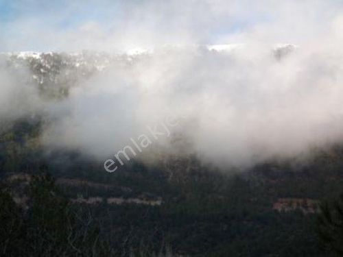 Fethiye Nif te Satılık 1985 m2 Arsa ve Eski Köy Evi