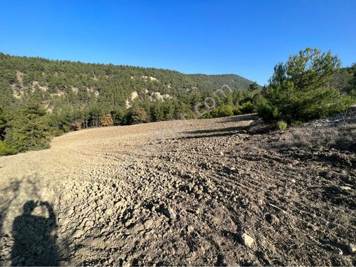 Sakarya Geyve Çamlık-Aydınlar Köyünde Yol Kenarı Tarla