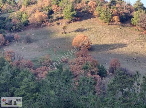 DAHA UCUZU YOK KELEPİR TARLA 11600 m2 ÇİFTLİKDERE KÖYÜNDE