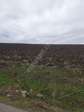 TEKİRDAĞ ERGENE VELIMEŞE MAHALLESİNDE TOKIYE KOMŞU SATILIK 812 M2  ARSA KAT KARŞILIĞI  VERILEBILIR  