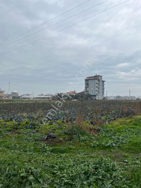 ÇALIŞKAN EMLAKTAN SATILIK 3 KATA İMARLI ARSALAR 