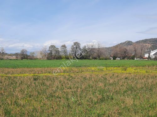  Mugla Okçularda 2 800 m2, köy yerleşik alanındaki arazi satılık  