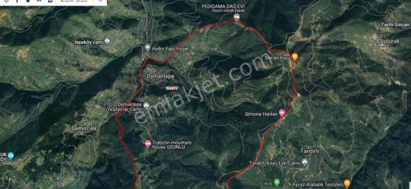  TRABZON YOMRA OYMALIDA 6169 M2 FINDIK BAHÇESİ