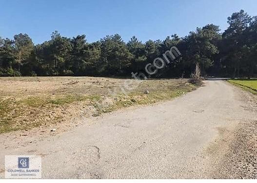 YOLA CEPHELİ TAPULU ARSA