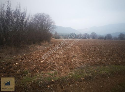 BAĞ EVİNE UYGUN İSTANBULA YAKIN TARLA ARAÇ TAKASI OLUR