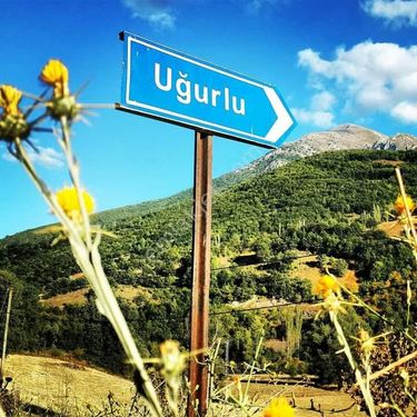  TOKAT REŞADİYE UGURLU ARSA TAPU SAHİBİ PERTA EMLAK ÜMİT TAHMAZ