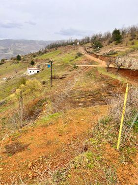 Uluçam köyünde satılık tarla