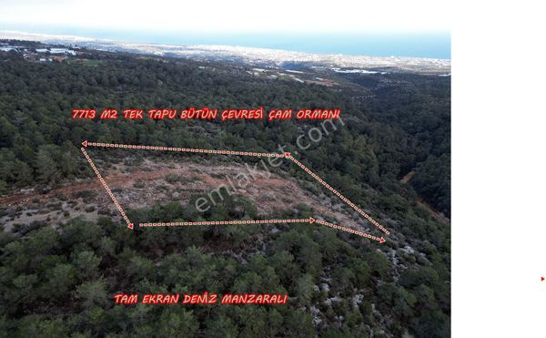  CENNETTEN BİR KÖŞE TAM EKRAN DENİZ VE ORMAN MANZARALI 7.713 M2 ARAZİ DENİZE 17 ANAYOLA 2KM MESAFEDE