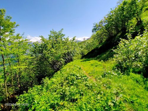 Kaçmaz Emlaktan Trabzon Vakfikebir Esen Tepe mah satılık arazi