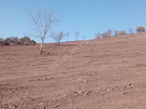  süngüllü satılık tarla 17900 m2