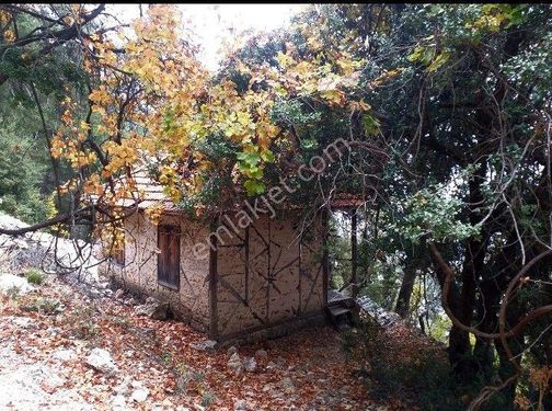 Antalya Kemer Ovacık Yaylası Satilik 6.000 m2 arazi ve köy evi.