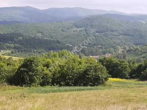 AĞVA MERKEZE 10 DK MESAFEDE TEK TAPULU ARSA