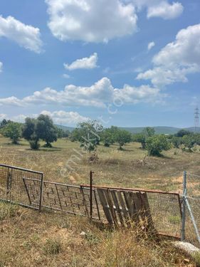  Bodrum Pınarlıbelen Köyünde Resmi Yolu Olan Çiftlik  Yapmaya Uygun  Satılık Tarla