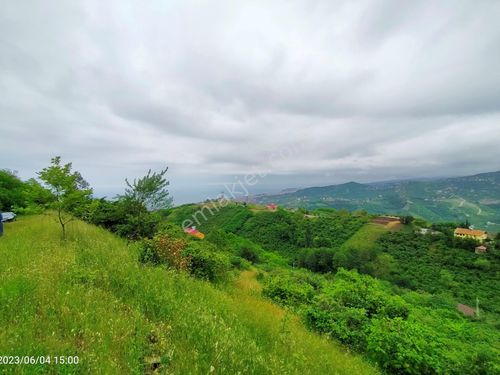 KAÇMAZ EMLAKTAN TRABZON AKYAZI MAH. SATILIK VİLLALIK ARSA