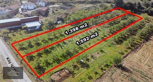 Beypınar'da 3 ev yapabilceğiniz 1592 m2 arsa