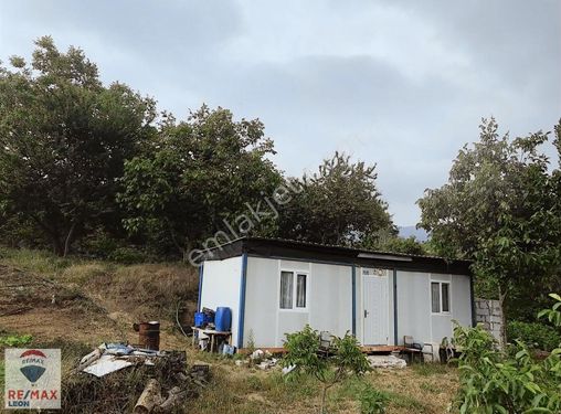 Göynükbelen'de Satılık Köydibi 6 Dönüm Hobi Bahçesi ve Konteyner