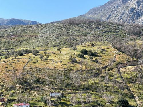 milas çökertme mah'de denize yakın konut imarlı arsa