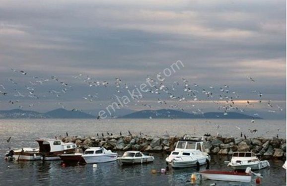  MUTLUOL PROJE'DEN SUADİYE SAHİLDE MUHTEŞEM YALI DAİRESİ