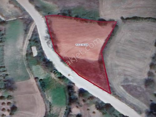  Kocaeli Kandıra Karlı Mahallesinde Satılık 1969 m²  % 5 Tarla Vasıflı Arazi.