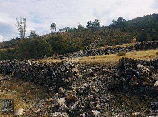 Muğla Fethiye üzümlü cadianda antik kente yakın arsa