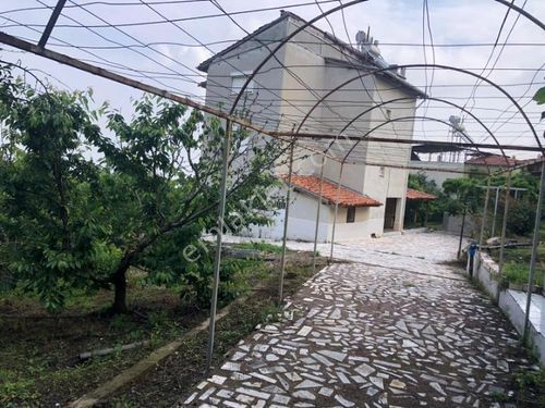 salihli EVİM EMLAKTAN  allahdiyende 3 dönüm kiraz bahçesi 