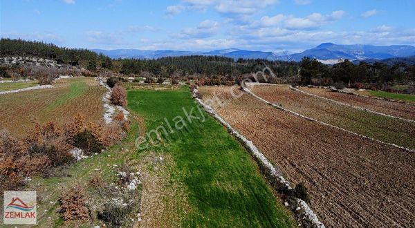 Milas Alaçam'da Satılık Tarla