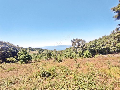  YENİŞEHİR BEYPINARINDA GÖL MANZARALI 21,000 M2- 3 ADET TARLA