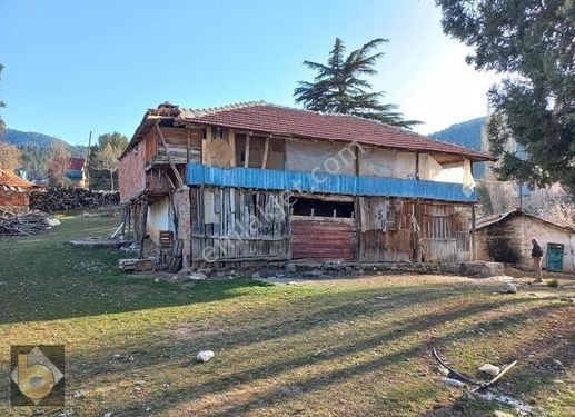 SEYDİKEMER YAYLA CEYLAN DA SATILIK KÖYİÇİ İMARLI 3,5 DÖNÜM TARLA